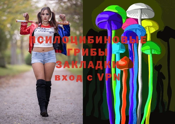 винт Алзамай