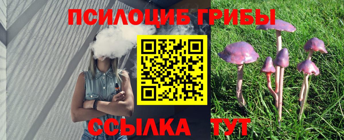 Галлюциногенные грибы мицелий  Вход с VPN  магазин продажи   Мичуринск 